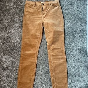 Ann Taylor Loft high rise skinny corduroyed pants